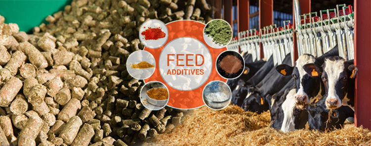 cattle-feed-manufacturing-additives-use.jpg