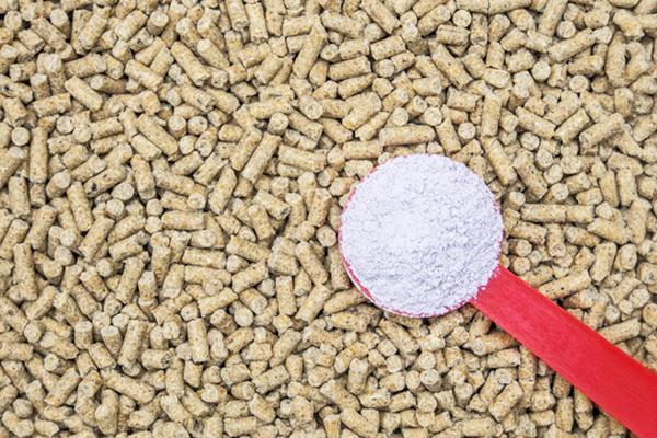 Feed Additive Supply Chain Stability Emerges as Key Cost Factor